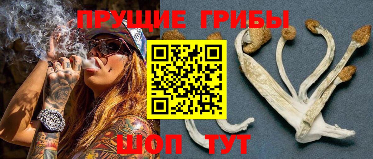 Кинешма  Галлюциногенные грибы MAGIC MUSHROOMS  Вход с VPN 